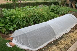 Contre la mouche mineuse, la seule méthode de lutte consiste à protéger les plants de poireaux avec des voiles anti-insectes aux mailles inférieures à 0,8 mm.