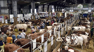 L'édition du Space de 2023 à Rennes est en train de mesurer son empreinte carbone.