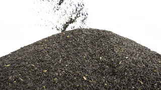 Il est primordial d'abaisser taux d'humidité et température pour conserver la qualité des grains de tournesol lors d'un stockage de moyenne et longue durée. Il est primordial d'abaisser taux d'humidité et température pour conserver la qualité des grains de tournesol lors d'un stockage de moyenne et longue durée.