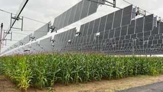 En cas de pluie, les panneaux solaires s'inclinent à la verticale pour permettre l'arrosage des cultures. En cas de pluie, les panneaux solaires s'inclinent à la verticale pour permettre l'arrosage des cultures.