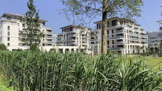 Dans un climat qui se réchauffe et face aux sécheresses, les plantes ne sont pas un mal – des plantations dont il faut gérer l’arrosage-, mais un remède : planter permet d’entretenir le cycle de l’eau. « Donner un litre d’eau à un arbre est un bénéfice », a martelé Marie Levaux lors du dernier congrès de Verdir.