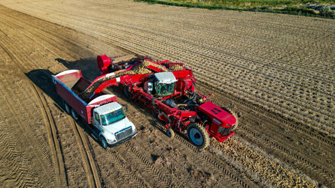 Jusqu'à 500 t à l’heure avec la Spudnik Terratron 7040 Jusqu'à 500 t à l’heure avec la Spudnik Terratron 7040