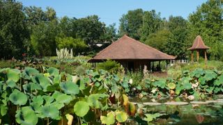 Les Jardins des Martels abritent un parc floral à l'anglaise de 3.5 hectares, à Giroussens, dans le Tarn. Ici, plus de 2500 espèces de plantes se développent.