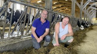 Autonomie protéique. L’objectif de Jean-Marie De Lye (à gauche) et de son salarié Noam Rivière est une ration fourragère des vaches laitières à 25% d’ensilages riches en matière azotée totale, principalement avec du méteil ensilé. Pour 2024, ils viennent de semer 27 ha de seigle forestier+ vesce velue + trèfles incarnat + squarosum (40 kg/ha à respectivement 45%, 36%, 13% et 6%). Ils sont complétés de 11 ha de ray grass d’Italie + vesce velue +trèfles incarnat et squarosum (25 kg/ha 60% de RGI, Autonomie protéique. L’objectif de Jean-Marie De Lye (à gauche) et de son salarié Noam Rivière est une ration fourragère des vaches laitières à 25% d’ensilages riches en matière azotée totale, principalement avec du méteil ensilé. Pour 2024, ils viennent de semer 27 ha de seigle forestier+ vesce velue + trèfles incarnat + squarosum (40 kg/ha à respectivement 45%, 36%, 13% et 6%). Ils sont complétés de 11 ha de ray grass d’Italie + vesce velue +trèfles incarnat et squarosum (25 kg/ha 60% de RGI,