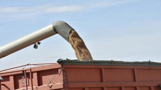 La Pologne et l'Ukraine se mettent d'accord pour établir les contrôles des céréales en transit sur le territoire lituanien. La Pologne et l'Ukraine se mettent d'accord pour établir les contrôles des céréales en transit sur le territoire lituanien.