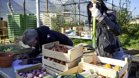 Photo d'illustration. La Scop agricole peut avoir un objet commercial.