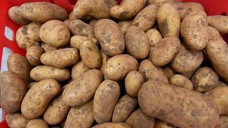 Selon le NEPG, la faible demande actuelle est due aux volumes contractualisés au préalable à prix plus élevés et à une offre plus importante de pommes de terre non stockables. Selon le NEPG, la faible demande actuelle est due aux volumes contractualisés au préalable à prix plus élevés et à une offre plus importante de pommes de terre non stockables.