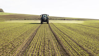 Deuxième substance active herbicide la plus vendue en France, le prosulfocarbe est principalement utilisé sur céréales, pommes de terre et certaines cultures légumières. Deuxième substance active herbicide la plus vendue en France, le prosulfocarbe est principalement utilisé sur céréales, pommes de terre et certaines cultures légumières.