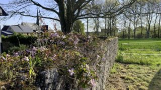 Parmi les prix spéciaux remis cette année, celui de la mise en valeur du patrimoine est allé, entre autres, à Saint-Juvat (22).