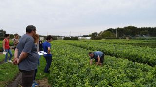 Lors des journées Excellence végétale/MPS, Christophe Dinand (à droite dans les cultures), de la SCEA du Champ Morin, à Blou (49), a ouvert les portes de son entreprise et présenté sa stratégie pour mieux gérer l’eau.