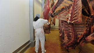 D'après Culture Viande, les coproduits représentent en moyenne 45 % du volume d'un animal abattu. D'après Culture Viande, les coproduits représentent en moyenne 45 % du volume d'un animal abattu.