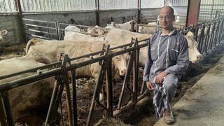 Les animaux de Laurent et Marie-France Goulot sont finis en bâtiment. A partir de cette année, tous les mâles (43) seront engraissés et contractualisés. Les animaux de Laurent et Marie-France Goulot sont finis en bâtiment. A partir de cette année, tous les mâles (43) seront engraissés et contractualisés.