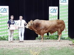 Pouf décroche le prix de meilleur mâle adulte pour les prix de synthèse de qualités bouchères. Pouf décroche le prix de meilleur mâle adulte pour les prix de synthèse de qualités bouchères.