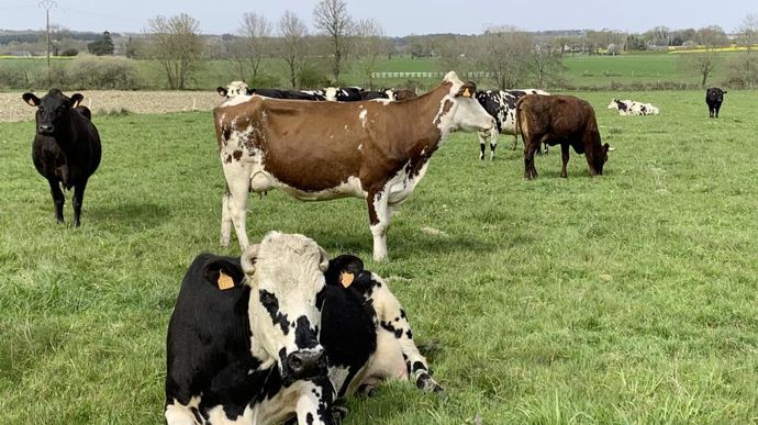 Écorégimes. La quasi-totalité des exploitations françaises ont accès aux écorégimes sans changer leur mode de production.