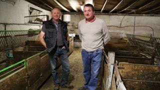 Grâce à une surveillance rigoureuse et un bâtiment bien aménagé, Jean-François et Emmanuel Nandrot maintiennent la mortalité des agneaux autour de 5,8 % d'année en année.