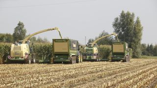 Le prestataire doit montrer patte blanche auprès de son client.