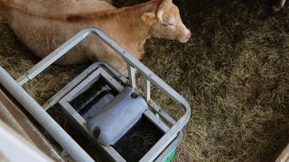 Les abreuvoirs sont équipés de protection pour éviter qu'ils ne soient détériorés.