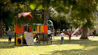 Témoignage : Quand ils arrivent en ville... les nouveaux gazons !