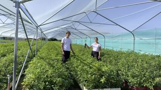 Lors du 75e anniversaire, sur le site de de Fombeton à Valernes (04) près de Sisteron, Alexandra Robin, nouvelle directrice commerciale adjointe, et son jeune frère Max, présentent l’une des spécialités de leur pépinière : les plants forestiers pour la zone méditerranéenne.