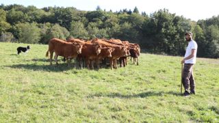 « En investissant dans un chien « à valeur d’usage », mon ambition est de gagner du temps qui nous manque tant», explique Eric Bélingard.
