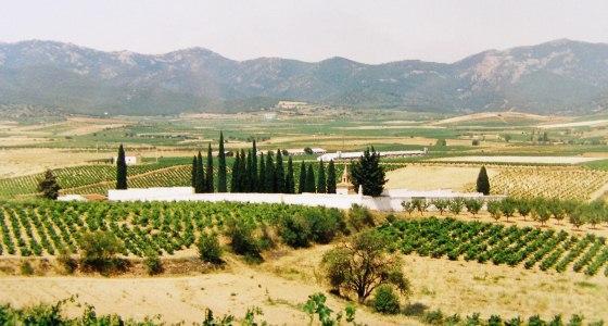 Paysage agriculture