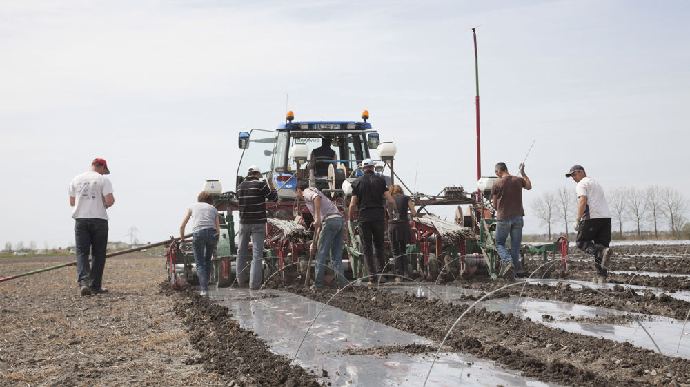 Pour bénéficier de l’une des aides en vigueur, l’employeur doit signer un contrat d’au moins trois mois. © Sébastien Champion