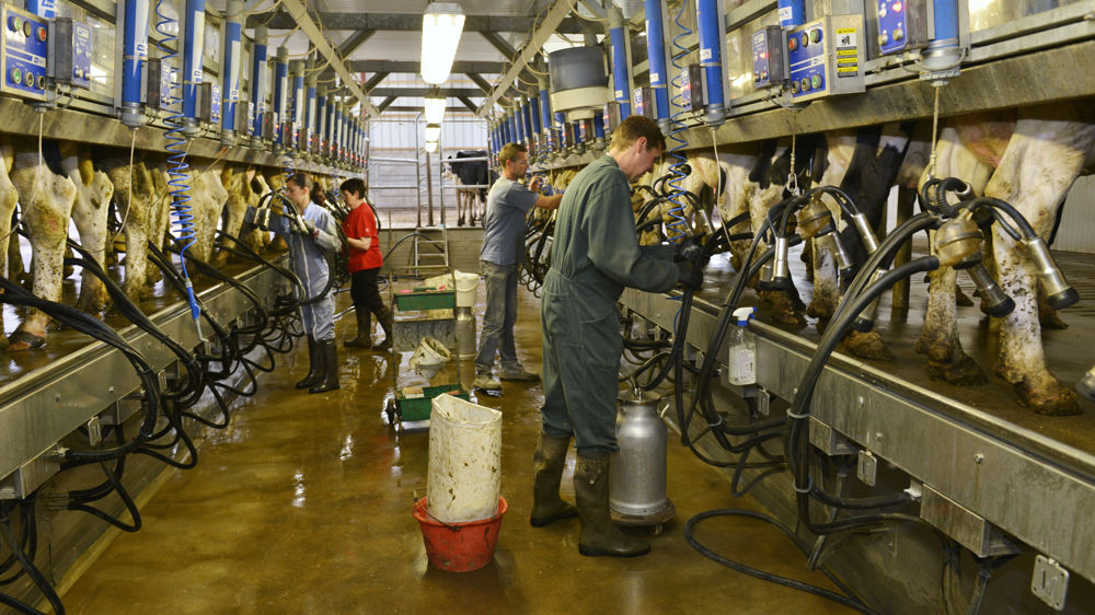 Une bonne ambiance peut aider à garder un salarié, même si le salaire est peu élevé. © Cédric Faimali/GFA
