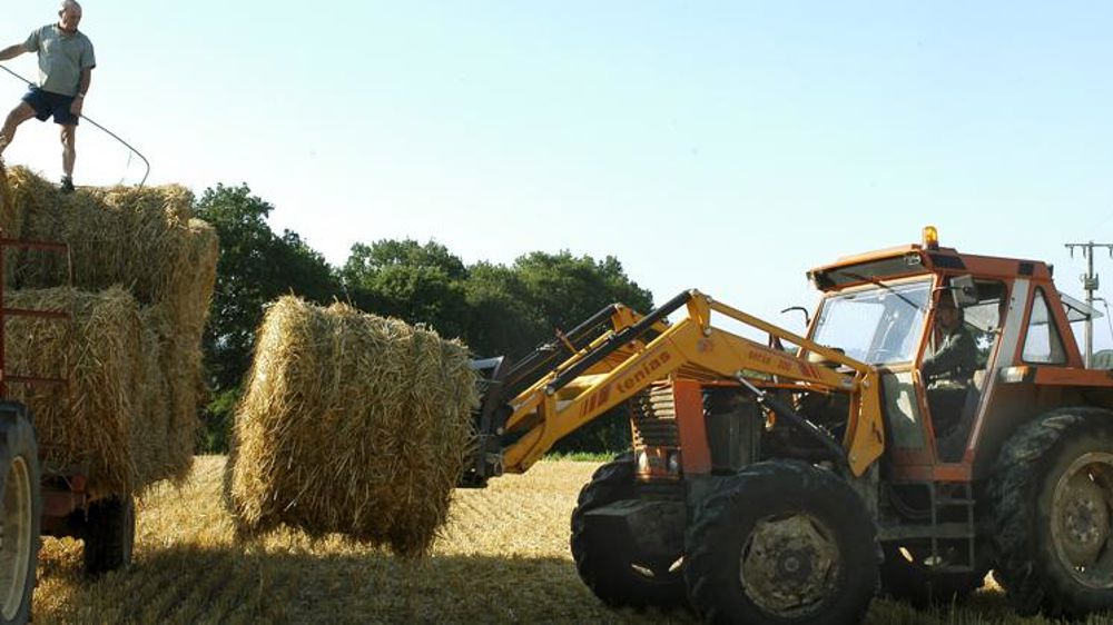 Conseil emploi 32 s’adresse aux employeurs de main-d’œuvre agricole et aux futurs employeurs. © J.-B. Laffitte