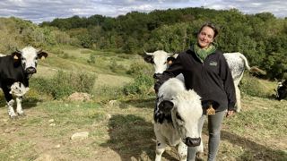 Les vaches vosgiennes de Rosalie Zinck répondent au cahier des charges de la marque RBV (race bovine vosgienne). Les vaches vosgiennes de Rosalie Zinck répondent au cahier des charges de la marque RBV (race bovine vosgienne).