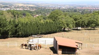Les recettes des activités équestres seront à nouveau soumises au taux de TVA réduit de 5,5 % à partir du 1er janvier 2024.