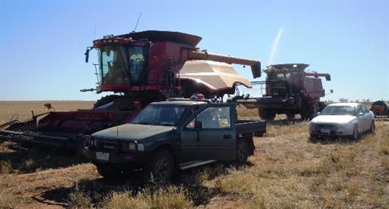Chantier de récolte de blé en Australie.