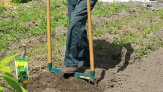 Aérer le sol du potager à la grelinette.