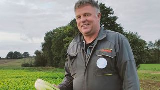 « C'est beaucoup plus intéressant et motivant de suivre des parcelles de légumes, comme ici du céleri-branche, que du blé ou du maïs toute sa vie », juge Jacques Cordroc'h.