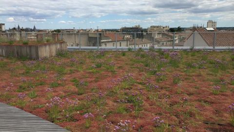 Réunis en association au sein d’Adivet, les professionnels des toitures végétalisées ont organisé un colloque le 10 octobre dernier sur le thème du bâti végétalisé et la gestion de l’eau.