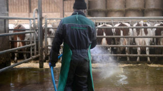 Le RSA peut aussi être demandé en complément d'une activité professionnelle, indique la MSA. Le RSA peut aussi être demandé en complément d'une activité professionnelle, indique la MSA.