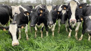 La Confédération paysanne dénonce un manque d'anticipation de la part de l'État.