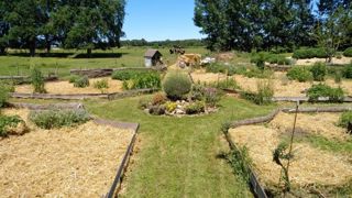 Jardin potager ou d’agrément, végétal ou minéral, fleurs ou de rocaille,… les mandalas peuvent avoir toutes sortes de vocations. Jardin potager ou d’agrément, végétal ou minéral, fleurs ou de rocaille,… les mandalas peuvent avoir toutes sortes de vocations.