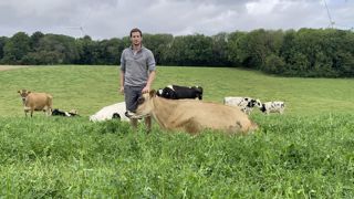 Raphaël Delva est satisfait car, "dans des conditions assez favorables, la luzerne a permis de maintenir le pâturage pendant tout l'été". Raphaël Delva est satisfait car, "dans des conditions assez favorables, la luzerne a permis de maintenir le pâturage pendant tout l'été".