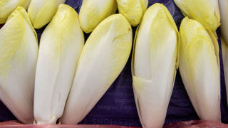 La production de chicons d’endives devrait atteindre 126 000 tonnes pour la campagne qui a débuté en septembre 2023, et serait similaire à la faible récolte de la dernière campagne. La production de chicons d’endives devrait atteindre 126 000 tonnes pour la campagne qui a débuté en septembre 2023, et serait similaire à la faible récolte de la dernière campagne.