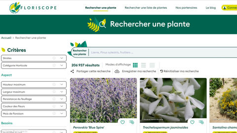Extrait de la page de recherche de Floriscope concernant les plantes. Extrait de la page de recherche de Floriscope concernant les plantes.