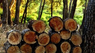 Seize propositions d'actions ont été remises au ministère de l'Agriculture pour mobiliser les propriétaires privés dans la gestion durable des forêts. Seize propositions d'actions ont été remises au ministère de l'Agriculture pour mobiliser les propriétaires privés dans la gestion durable des forêts.