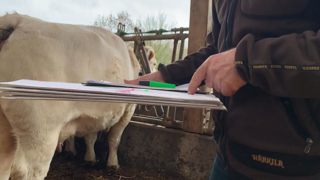 La synchronisation des chaleurs permet d'organiser sa saison de reproduction. Le collier de détection décharge l'éleveur de l'observation des chaleurs. La synchronisation des chaleurs permet d'organiser sa saison de reproduction. Le collier de détection décharge l'éleveur de l'observation des chaleurs.