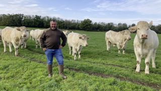 Bruno Laprote tend vers la finition de tous les veaux nés de son troupeau de 90 vaches charolaises. Bruno Laprote tend vers la finition de tous les veaux nés de son troupeau de 90 vaches charolaises.