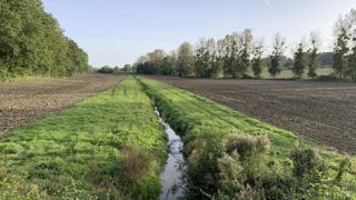 L’Autorité environnementale appelle à un programme d’action sur les nitrates « vraiment ambitieux et appliqué ». L’Autorité environnementale appelle à un programme d’action sur les nitrates « vraiment ambitieux et appliqué ».