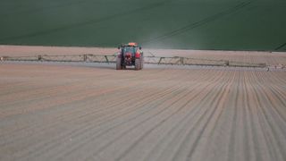 Au plus tard, les produits contenant du triflusulfuron-méthyl ne sont plus autorisés neuf mois à compter de la date d’entrée en vigueur du règlement, soit du 16 novembre 2023.