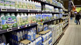 Les producteurs de lait restent vigilants à l'approche des négociations commerciales. Les producteurs de lait restent vigilants à l'approche des négociations commerciales.