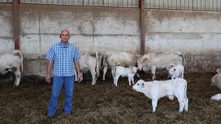 « En rassemblant les vêlages, je surveille plus facilement les animaux et le travail est très efficace », estime Xavier Herbert.