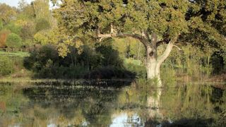 Le marais poitevin connaît un épisode de crue très important. Le marais poitevin connaît un épisode de crue très important.
