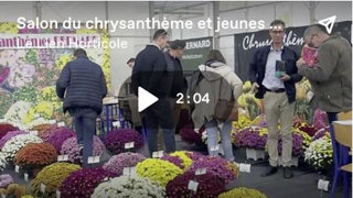 En vidéo, la 9e édition du Salon du Chrysanthèmes et jeunes plants horticoles En vidéo, la 9e édition du Salon du Chrysanthèmes et jeunes plants horticoles
