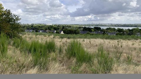 Angers, vue ici des hauteurs de la forêt urbaine du Grésillé, reste la ville la plus verte de France, selon l’Observatoire des villes vertes commandité par l’Unep et Hortis.